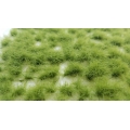 Ciuffi altezza 5 + 5 mm